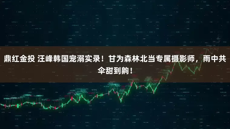 鼎红金投 汪峰韩国宠溺实录！甘为森林北当专属摄影师，雨中共伞甜到齁！