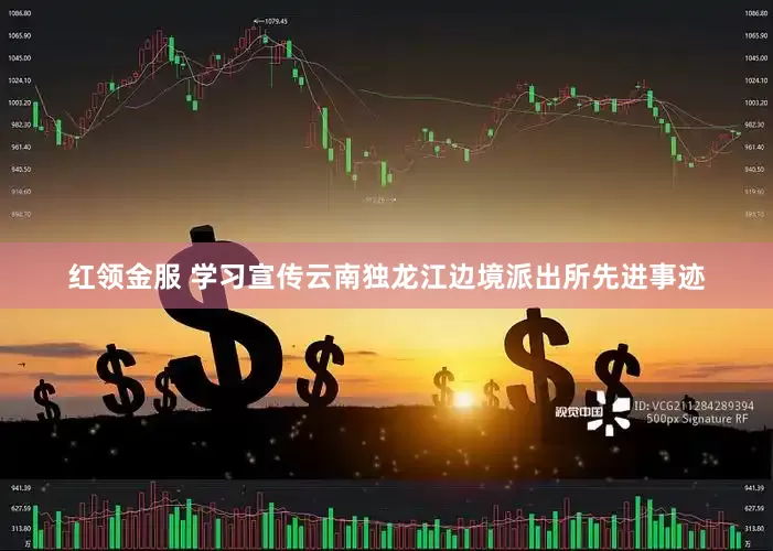 红领金服 学习宣传云南独龙江边境派出所先进事迹